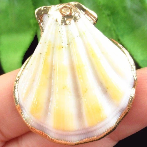 Gold Edge White Yellow Scallop shell Pendant Bead 39x35x3mm F47973