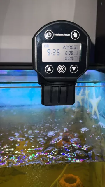 New PETACC Intelligent Automatic Fish Feeder Battery Timer Fish Feeder 200ML LCD