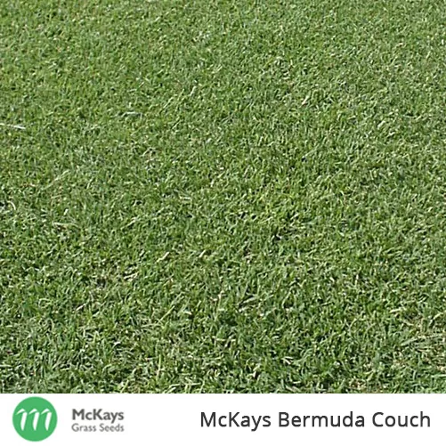 McKays Bermuda Couch Grass Seed - 2kg - Lawn Seed 100% PURE