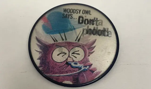 VTG Pin Woodsy Owl Says Give A Hoot Don't Pollute Flicker Badge Vari-Vue USA 2.5