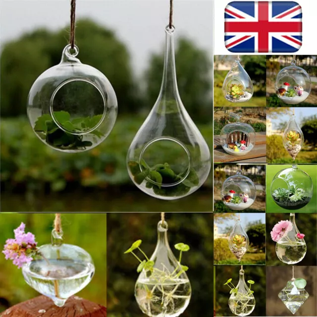 Hanging Glass Ball Vase Plant Pot Terrarium Container Party Wedding DIY Decor