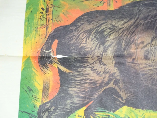 Antiguo Djv Cartel Poster Jabalí Firmado Imprimir Schießscheibe Colector De 2