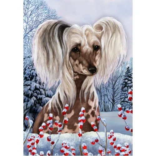 Winter Garden Flag - Chinese Crested 150691