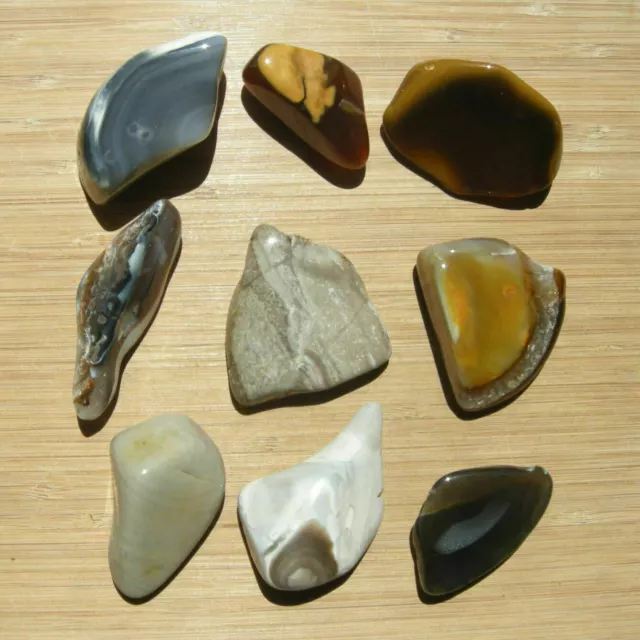 9 Rock Slices and Geode Stones Mixed Polished Agate and Jasper Crystals 1LB Lot