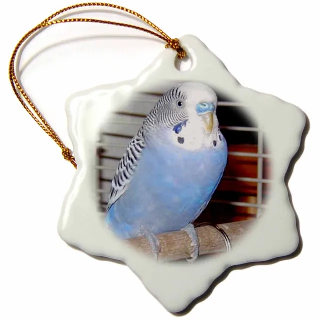 3dRose Blue Parakeet 3 inch Snowflake Porcelain Ornament