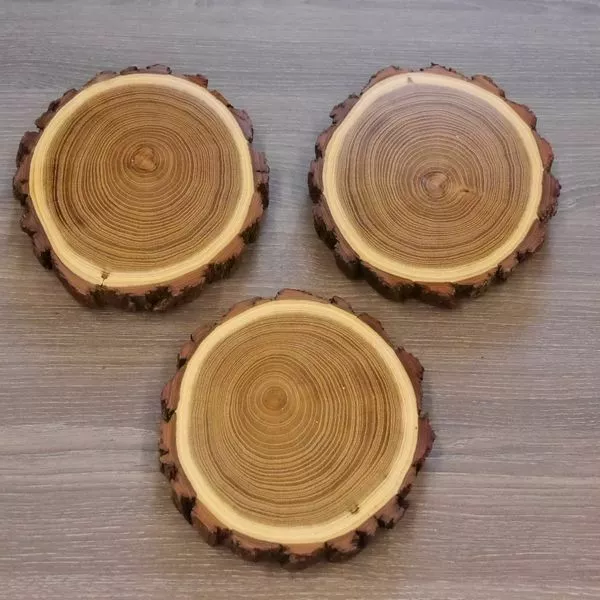 3 Pieza Acacia Jabalí Escudo de Trofeo Placa Brett Jabalí Baumscheibe AF13cm 2