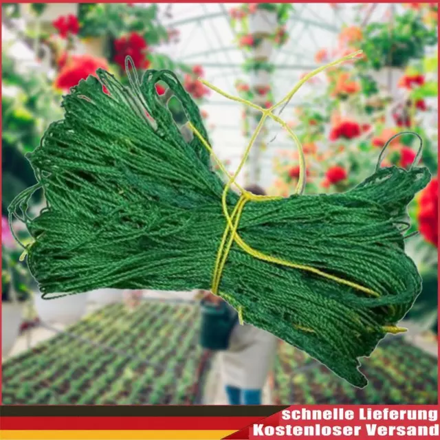Gitternetz Ornamente Pflanzenstütznetz für Gurken Wassermelonen (1,8 x 1,8 m)