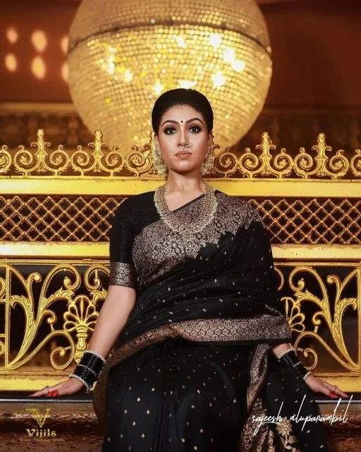 Indiano Pakistano Sari Camicetta per Donna Kanjivaram Pura Seta, Arte Seta Sari