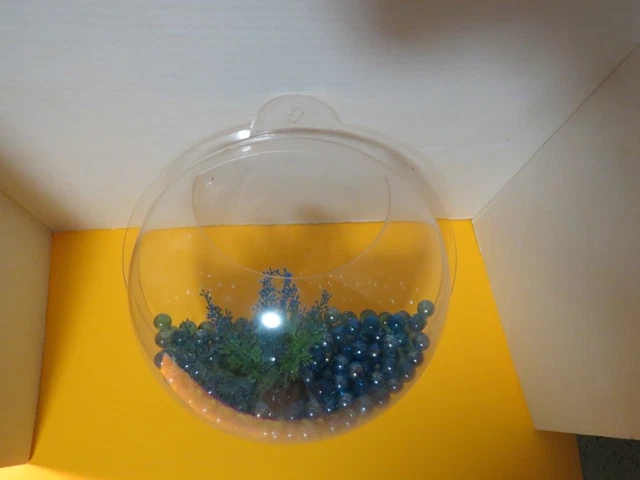 Hanging Wall Mounted Fish Bowl Betta Tank Aquarium Wall Decor Plant Fish Bubble 3