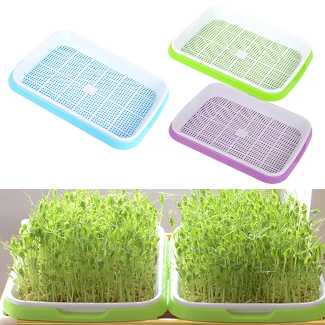 Plateau de germination germeur nutritif pour grain améliore la croissance et la