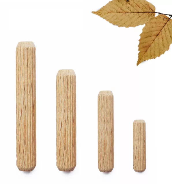 Tacos de madera Ø 6-18 mm / longitud 20-180 mm - tacos de arrecife haya tacos de madera lápices de madera