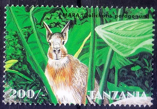 Tanzania 1998 montada sin montar o nunca montada, mara patagónica, roedor grande