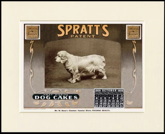 Clumber Spaniel Vintage Style Dog Food Calendar Advert Art Print Ready Mounted