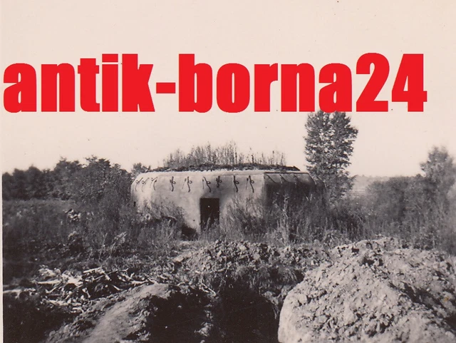 Foto WH 3. Gebirgs-Division Bunker Shelter Sudetenland Znaim Znojmo Mähren *174