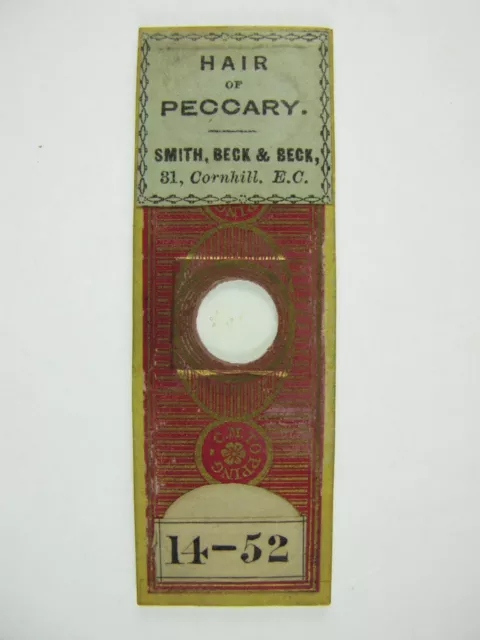 Antik Mikroskopobjektträger von C.M.Topping. (Einzelhandel von S, B&B).  Peccary Haar.