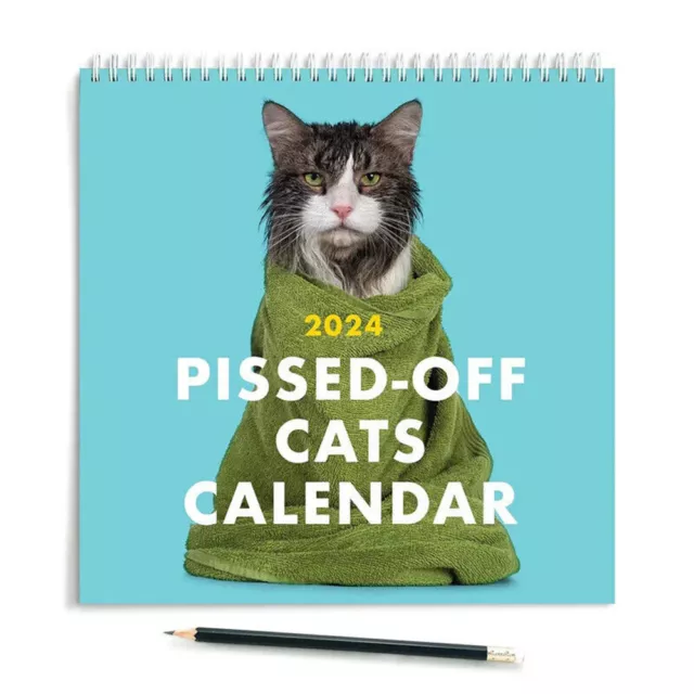 CALENDRIER DE CHAT médiéval laid 2024 Weird Cat Calendar