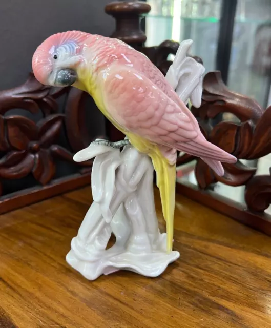 Vintage Antique German  Karl Ens Porcelain Figurine Pink Parrot on Bamboo