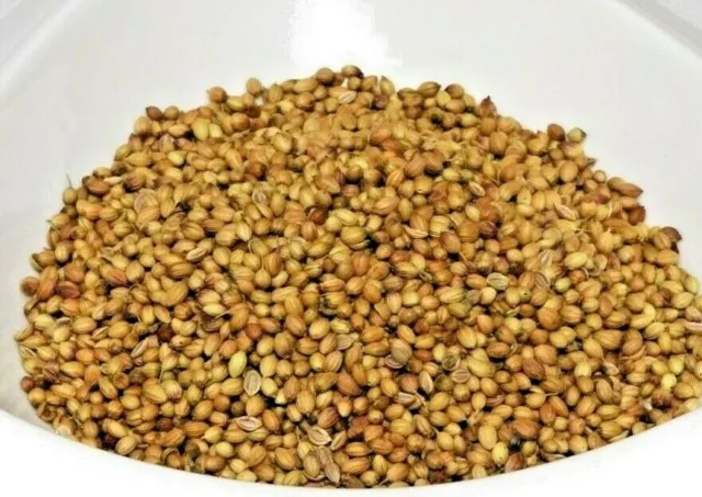 Coriander Seeds Grade A Premium Quality Whole Coriander Seed Spices & Seasoning