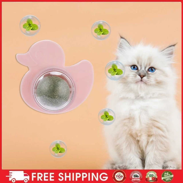 Anatra gatto dolci deliziare snack gatto girevole giocattolo da masticare palla animale domestico