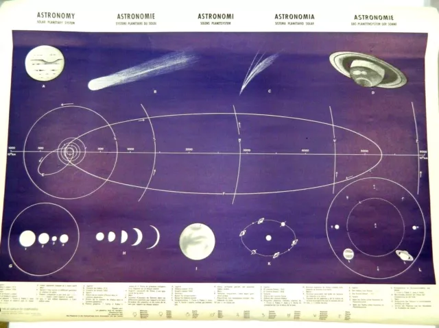 Vintage Astronomy & Astrology Poster in 5 Languages Solar Planetary System