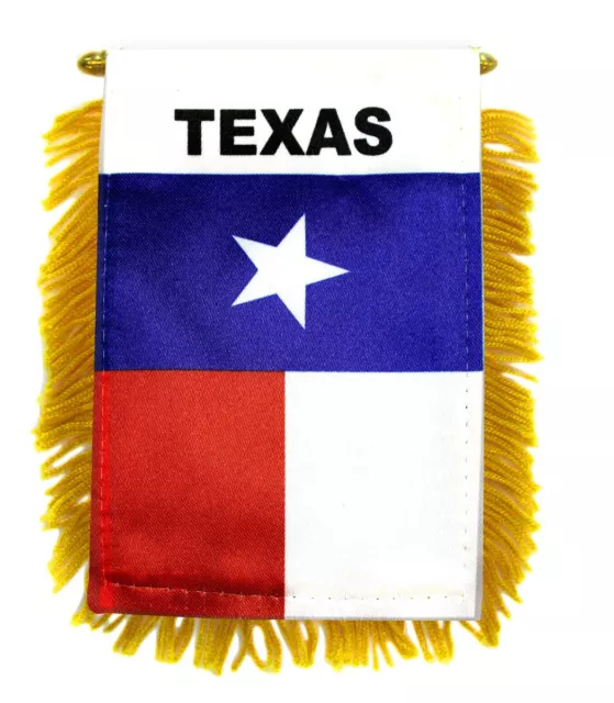 1 Dozen Texas Mini Banner Flag 4x6in US State Texas Flag TX