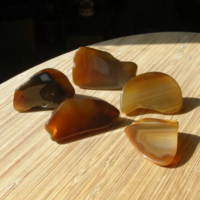 5 Mini Geode Slices Polished Brown Banded Agate Crystals Mixed End Cut Stones