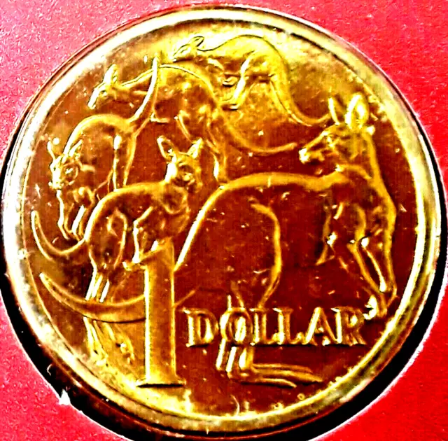 1984 Royal Australian Mint UNC 1 Dollar Coin, In Card, Card Ede is Deteriorated