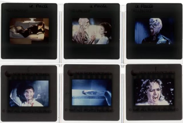 Lot 6 ektas slides originals Hellraiser Andrew Robinson Clive Barker