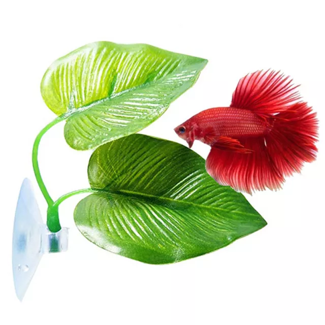 Betta Pesce Riposo Acquario Foglie Piante Decorazione Deposizione Pianta Ornamentale Be SN❤