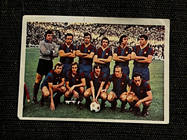 Vignette AGEDUCATIF 1973/74 Raymond Domenech (Lyon) #65 - RARE, NON PANINI