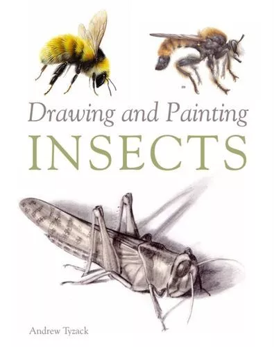 Drawing And Painting Insects Fc Tyzack Andrew