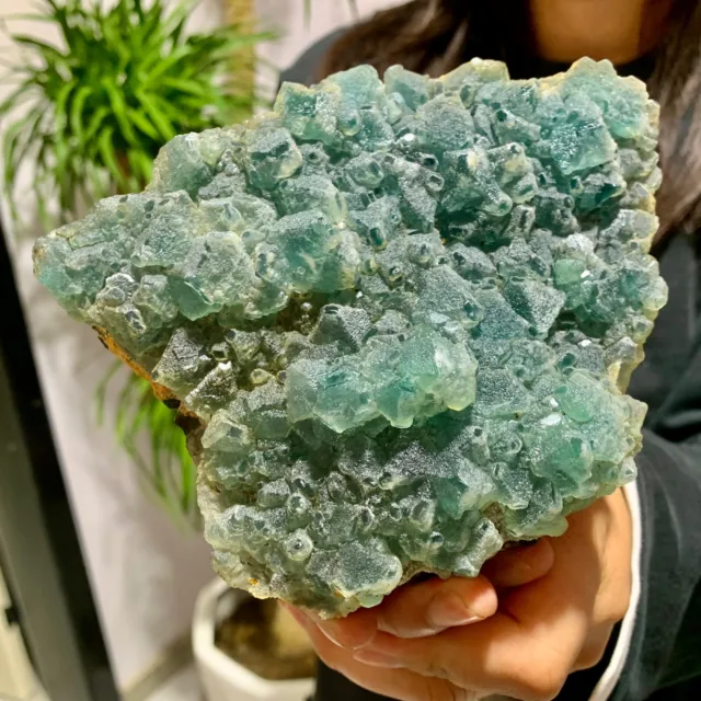 2.14LB  New Find sky blue Phantom Quartz Crystal Cluster Mineral Specimen