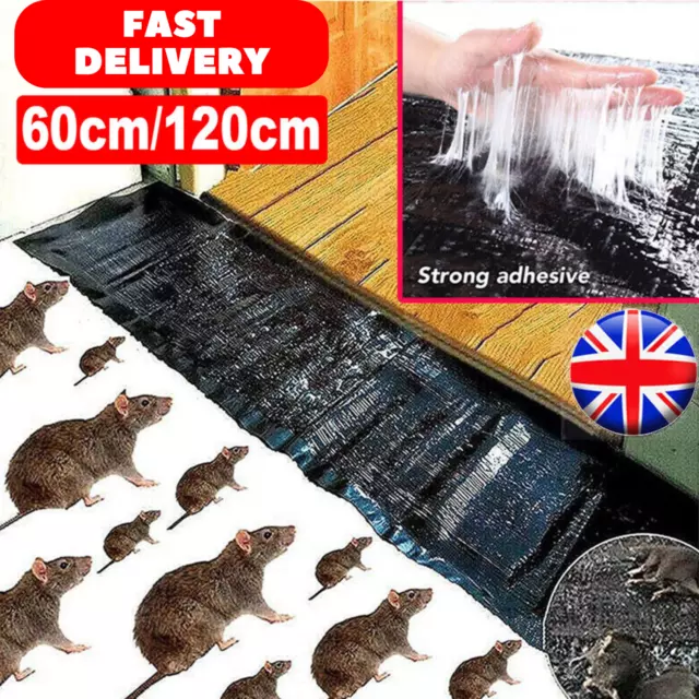 Large Size Mice Mouse Rodent Catcher Rat MouseTraps Indoor Super Mice Pest Contr