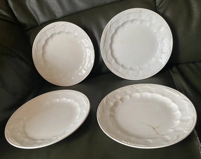 4 Anciennes Assiettes Plates Faïence fine blanche Pexonne décor Épi de blé en BE