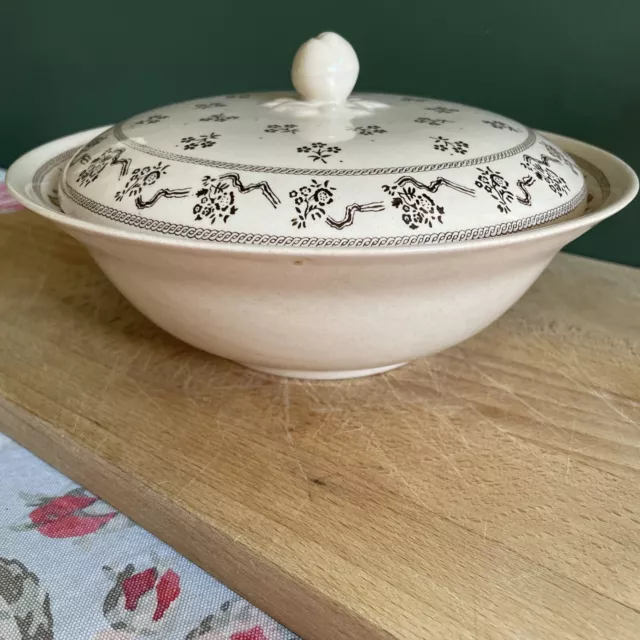 Laura Ashley Vintage Lidded bowl “Petite Fleur” Johnson Brothers. 9”