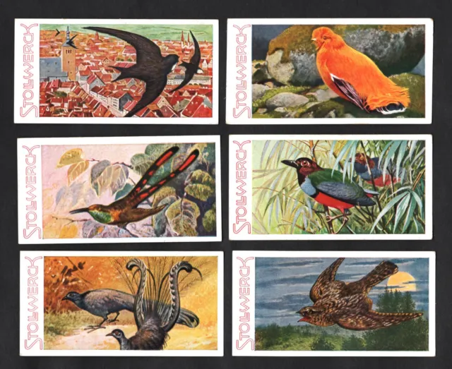 Stollwerck Animal Kingdom 1932 Album Ser 18 German Card Set Birds Lyre Colibri