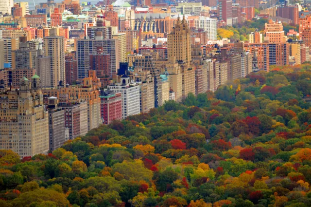 Papier Peint Photo INTISSÉ-CENTRAL PARK-(465V)-Mural New York City Ville Nature