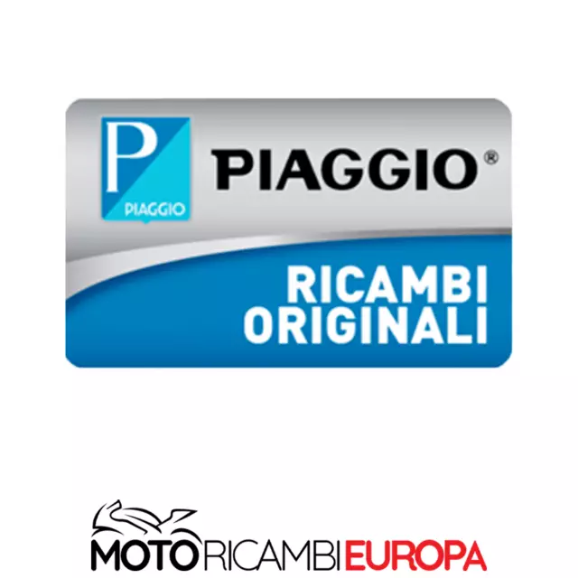 Disco Freno Posteriore Piaggio X9 Evolution 500 2006-2007 Cod.56498R 2