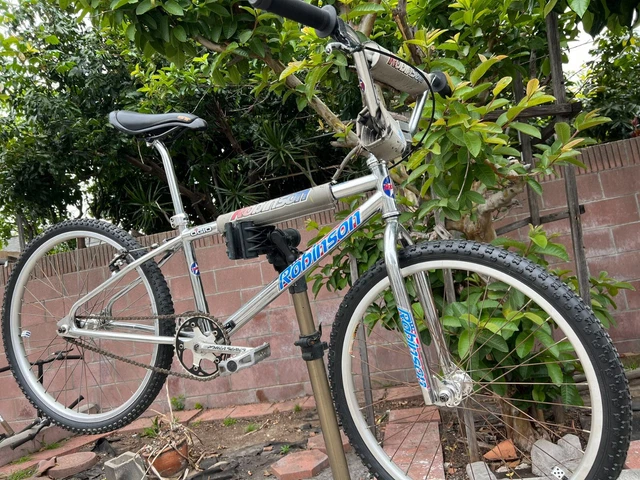 gt robinson bmx