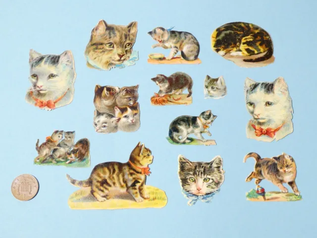 13 x Original Victorian Paper Scraps Cats Kittens etc. #18