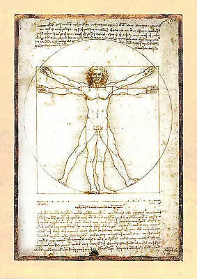 Vitruvianischer Mensch Leonardo da Vinci homo vitruvianus Mann Faksimile 29