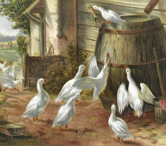 Victorian Raphael Tuck Greetings Card Birds Geese Country Farm Barrel House