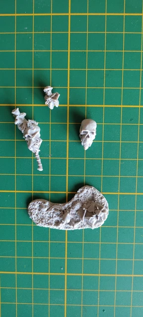 X10 Gardes Des Tombes Warhammer - Comtes Vampire - Figurines Plastique Neuves