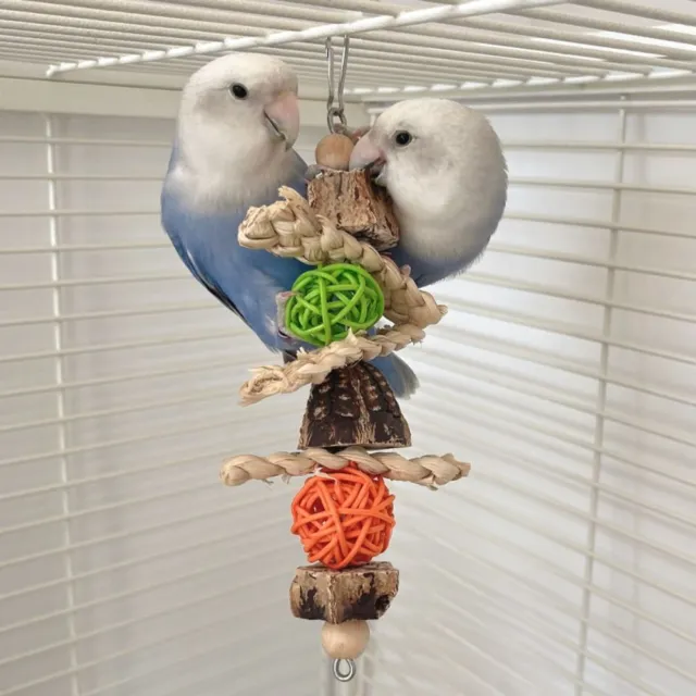 Nymphen sittich Schaukel Aufstieg Papageien ständer Vogel-Nahrungs spielzeug