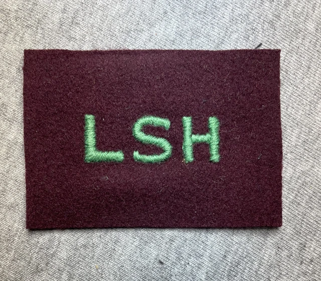 5 Th Div   Lord Stratconas Horse Sh Patch