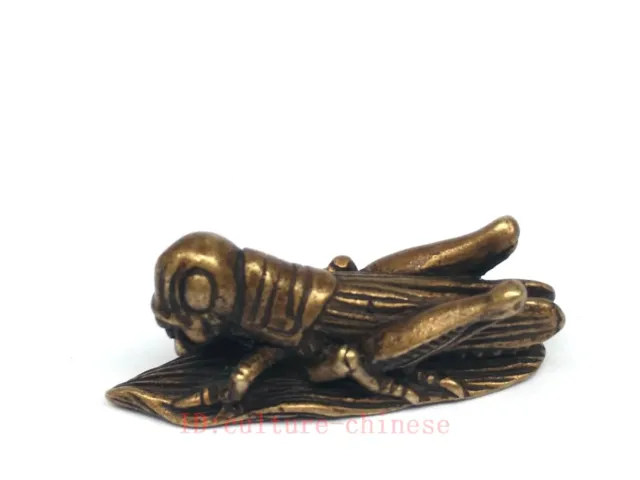 Chinese Bronze Carving locust Statue Pendant desk Decoration old gift Collection