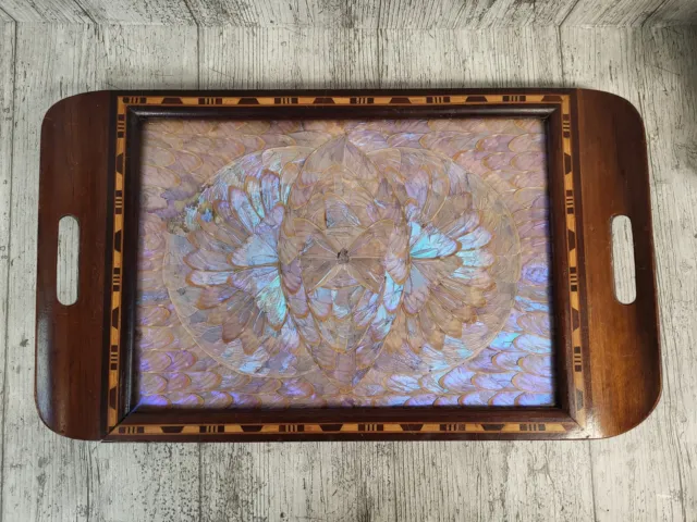 Vintage Brazilian Blue Butterfly Wing & Inlaid Wooden Tray Butterflies Display 3