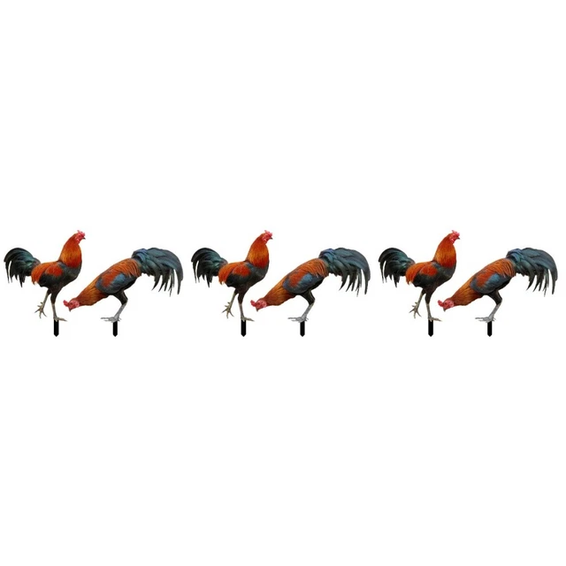 6 Pcs Yard Acrylic Chicken Art Lifelike Animal Stake Chicken Rooster Garden