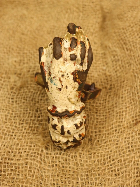 Ghianda Isolata Foglia Della Quercia Di Verde Del Gruppo E Frutta Matura Sul Gambo Isolato Su Fondo Bianco Come Elemento Image152635502