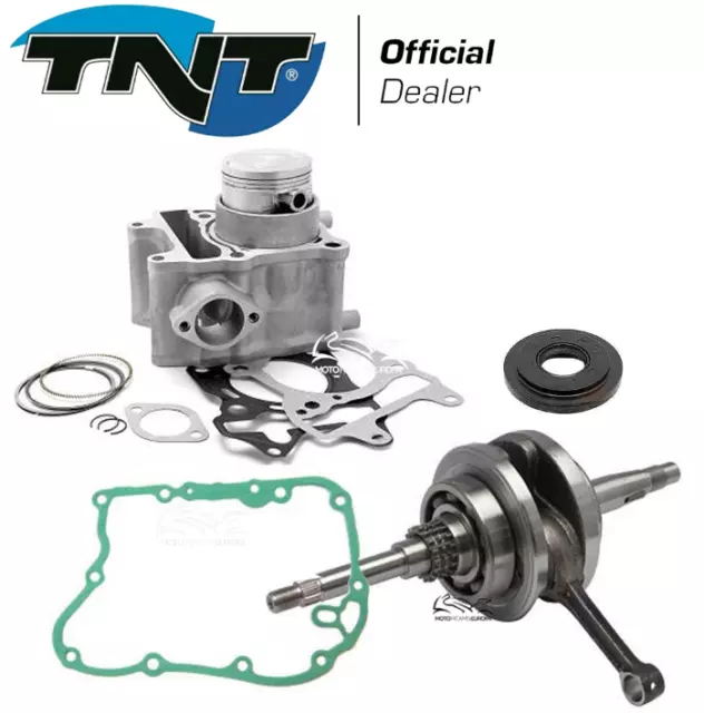 Kit Revisione Motore Honda Dylan 125 Albero Cilindro Cuscinetti Guarnizioni